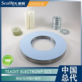 ELECTRON® SCS奥地利泰迪TEADIT 高压/化学垫片套件