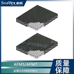 VICTOR REINZ AFM5/AFM7金属无石棉密封垫片