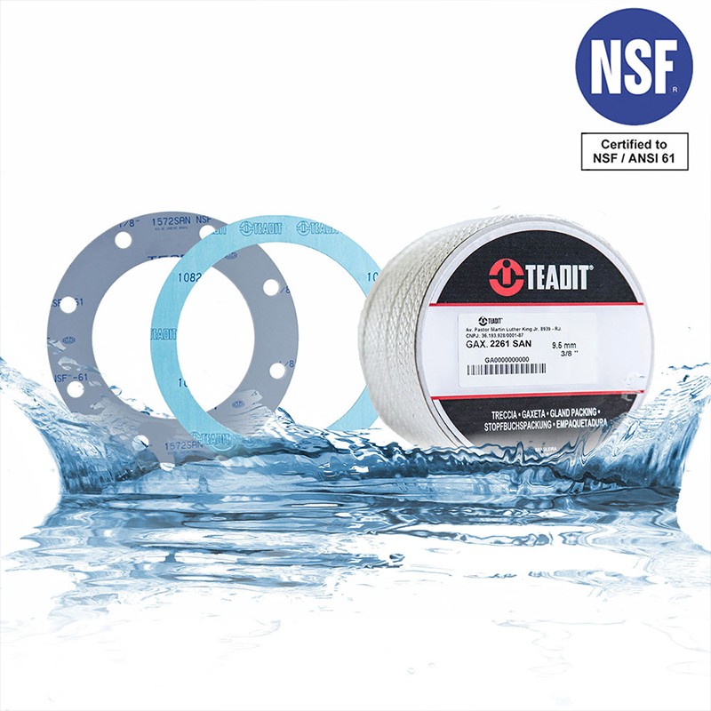 TEADIT Style 2261 SAN 饮用水级纯PTFE盘根