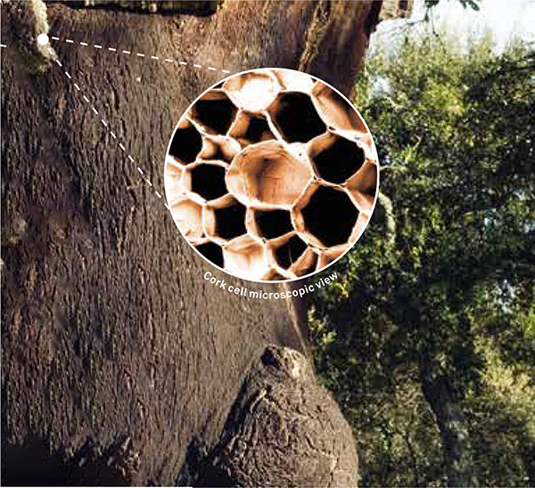 什么是软木橡胶？