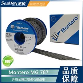 MG-787BELPA/标牌盘根系列