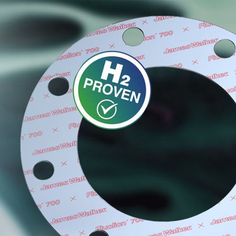 James Walker Fluolion 700四氟密封垫