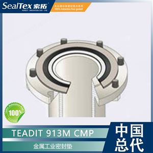 奥地利泰迪TEADIT 913M CMP金属工业密封垫